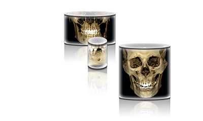 Planmeca ProMax 3D Mid volumes