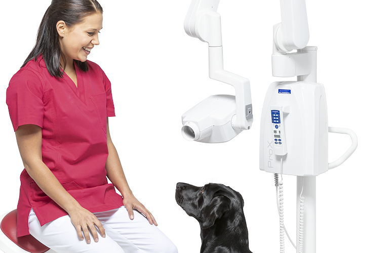 jpg/Planmeca-veterinary-dental-unit_768x500yb8p.jpg